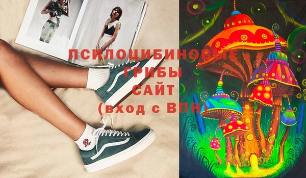 прущие крисы Абинск