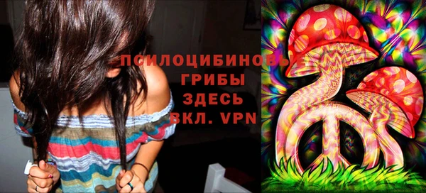 гашиш Абаза