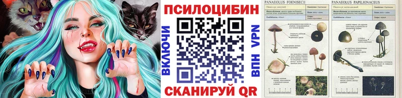 Псилоцибиновые грибы GOLDEN TEACHER  цены   Горячеводский 